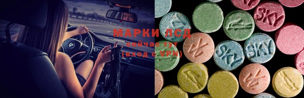 спайс Баксан