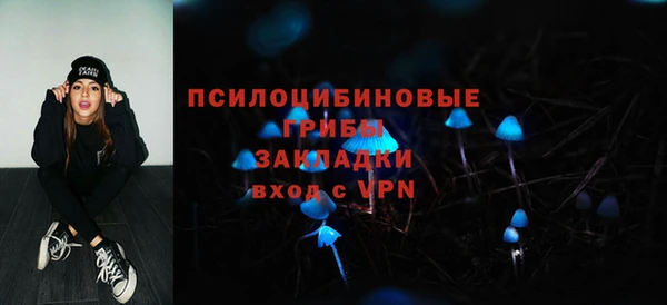 спайс Баксан