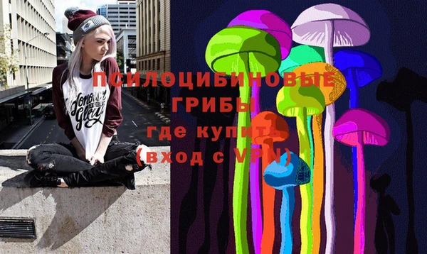 спайс Баксан