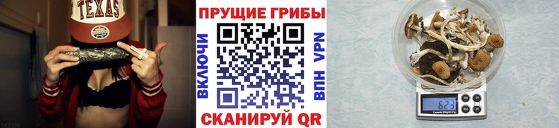 где купить   Богородицк  blacksprut зеркало  Галлюциногенные грибы ЛСД 
